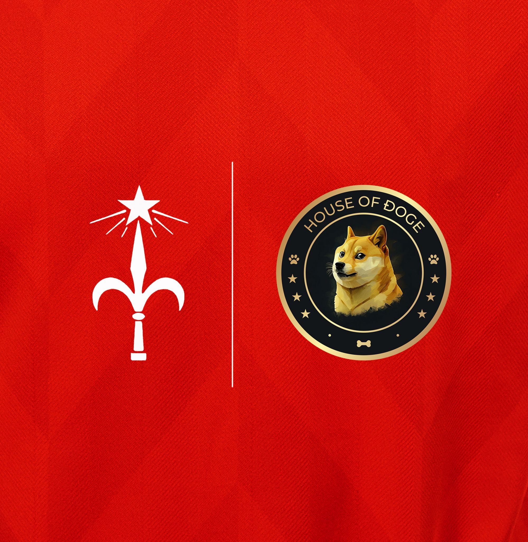 Dogecoin nuovo main sponsor